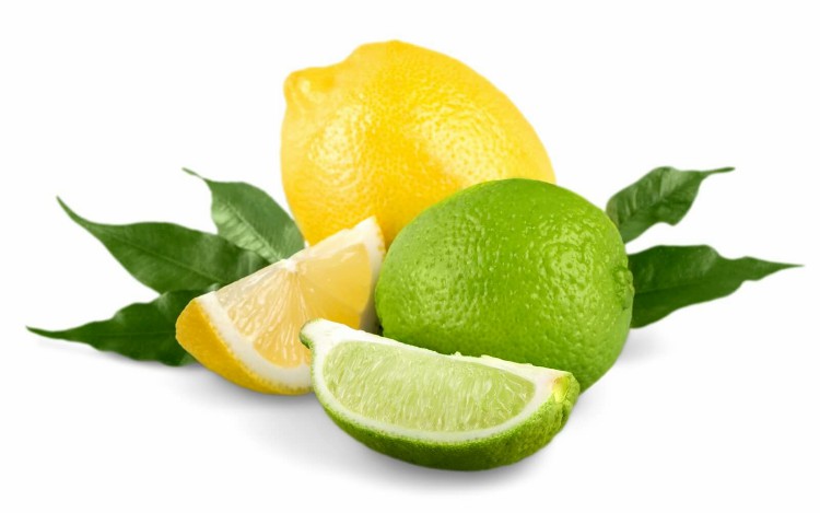 como cultivar limão