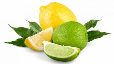 como cultivar limão