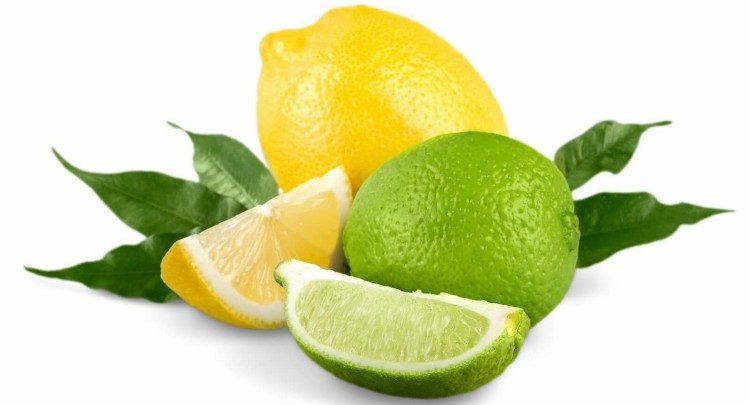 como cultivar limão