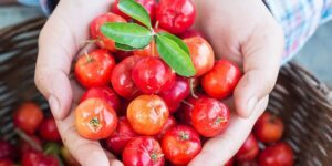 como plantar acerola em casa