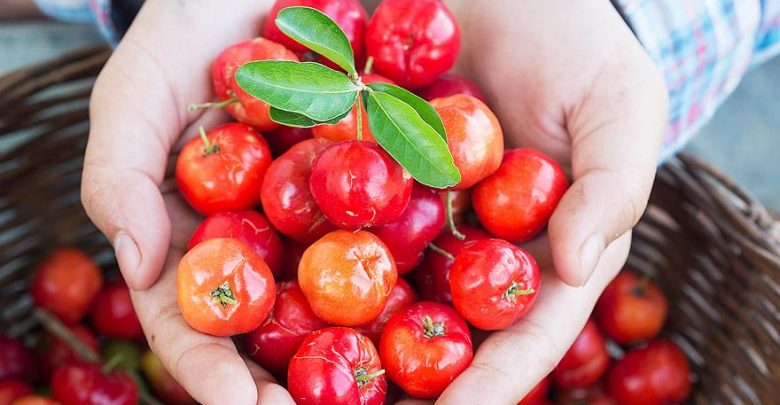como plantar acerola em casa