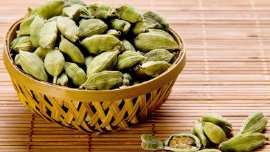 Cardamomo
