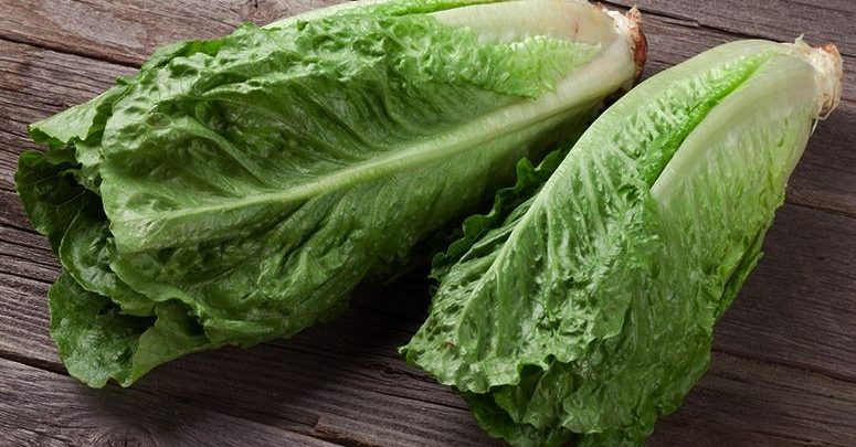 beneficios da chicoria