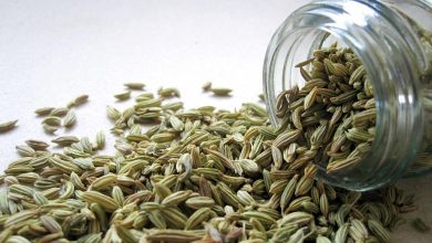sementes de erva doce