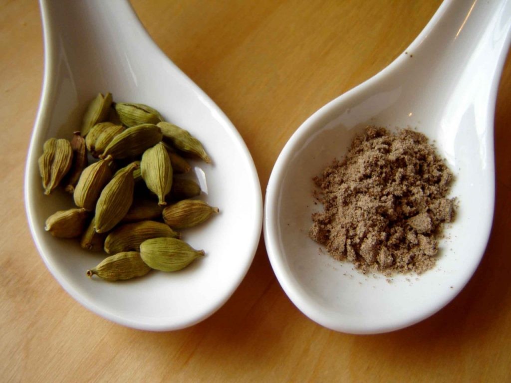 Como Plantar Cardamomo