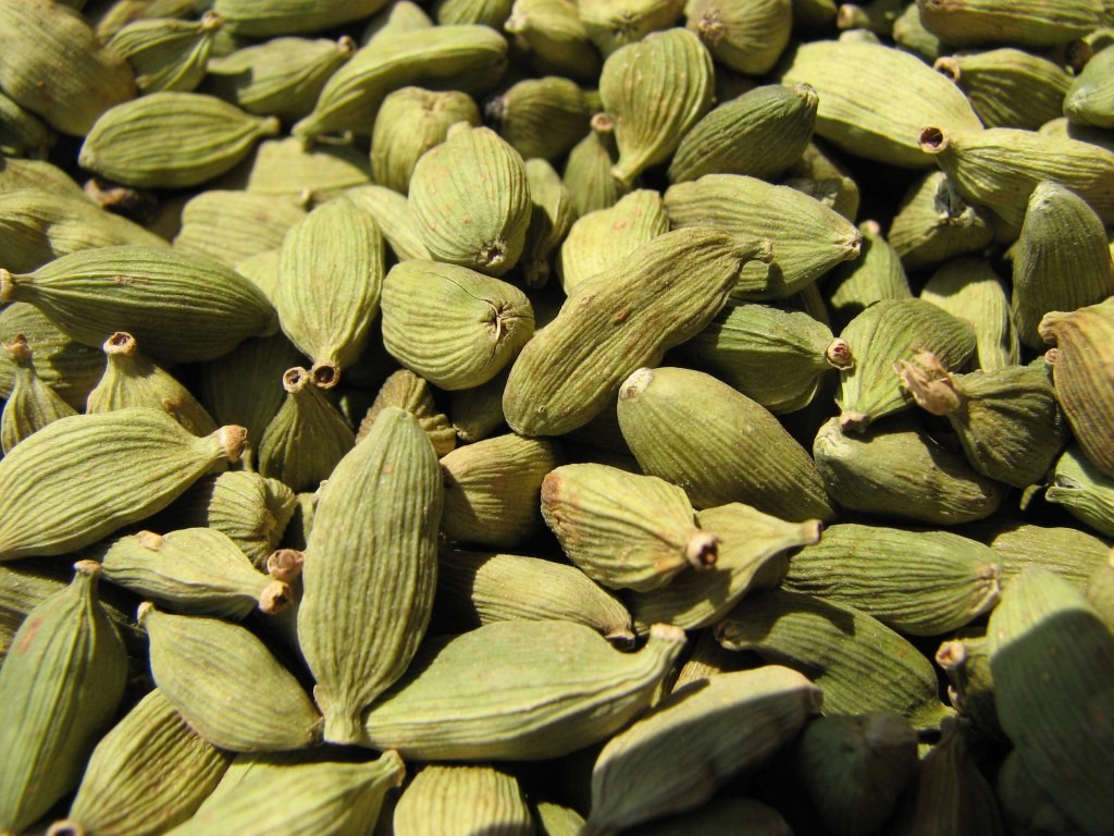 cardamomo