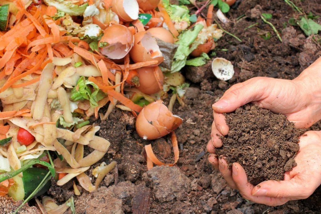 Como Fazer uma Composteira: 13 Ingredientes Proibidos