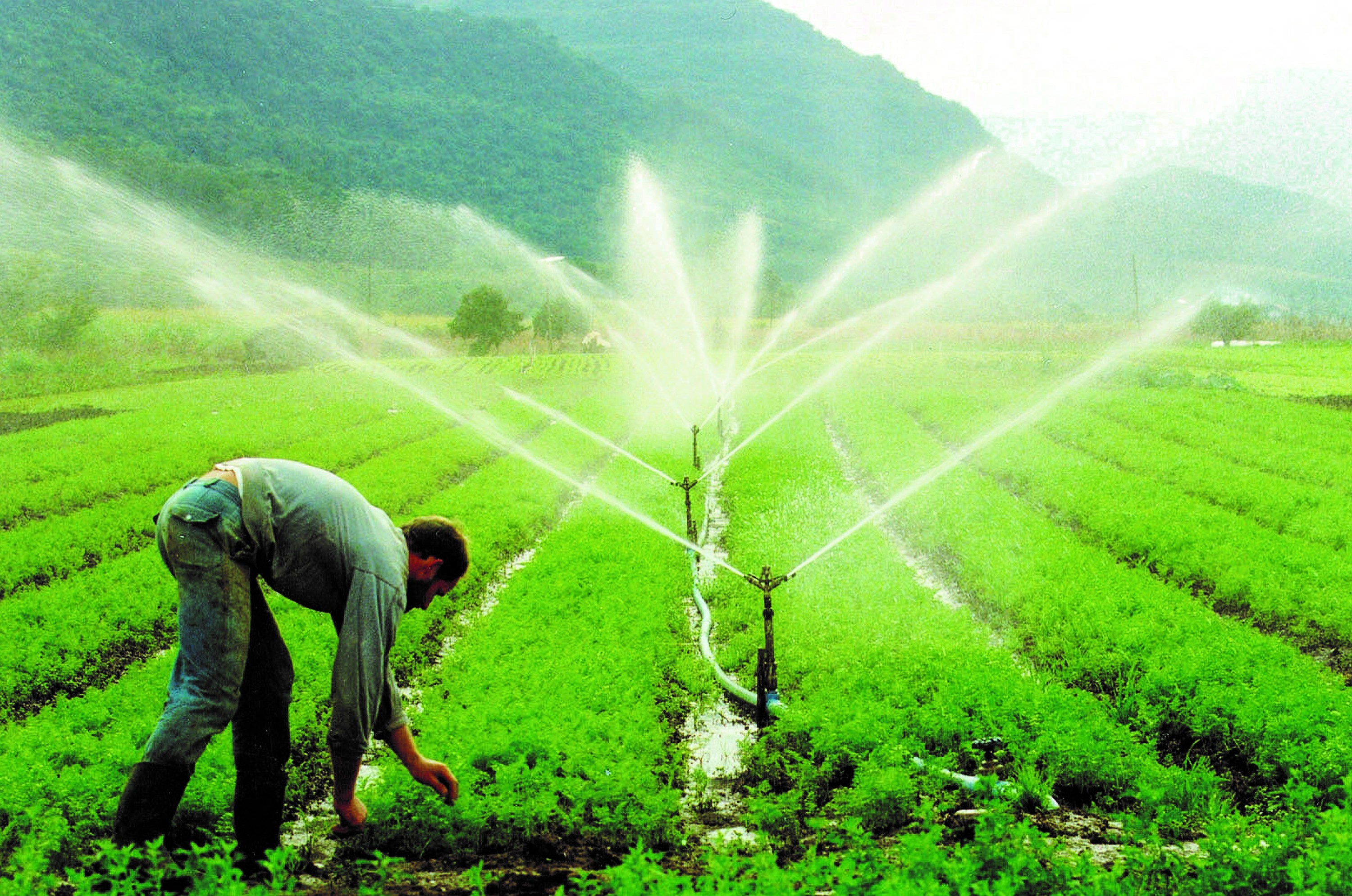 Sistema de Irrigação 