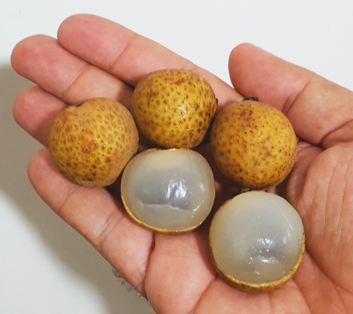 Benefícios do Longan