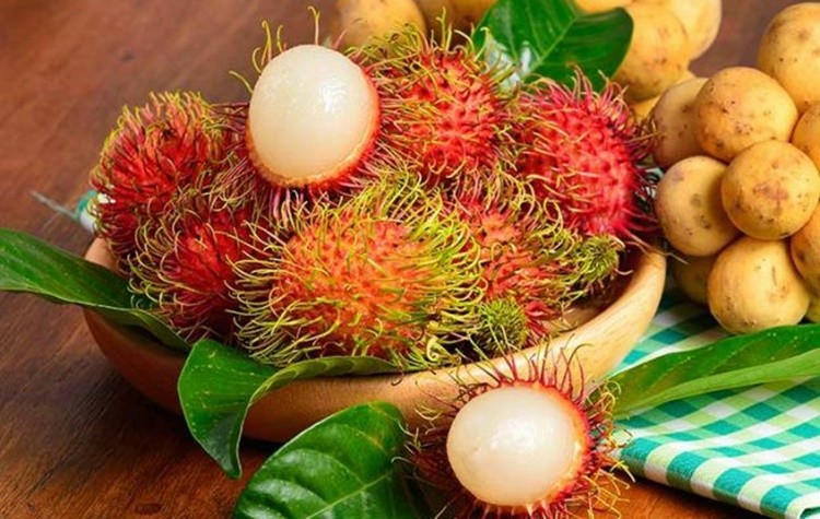 benefícios do rambutan