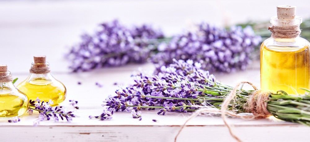 lavanda beneficios