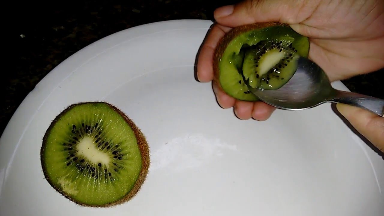 Como Germinar Semente de kiwi 