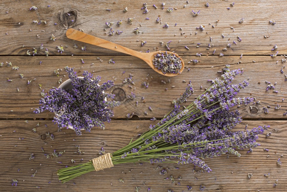 benefícios da lavanda