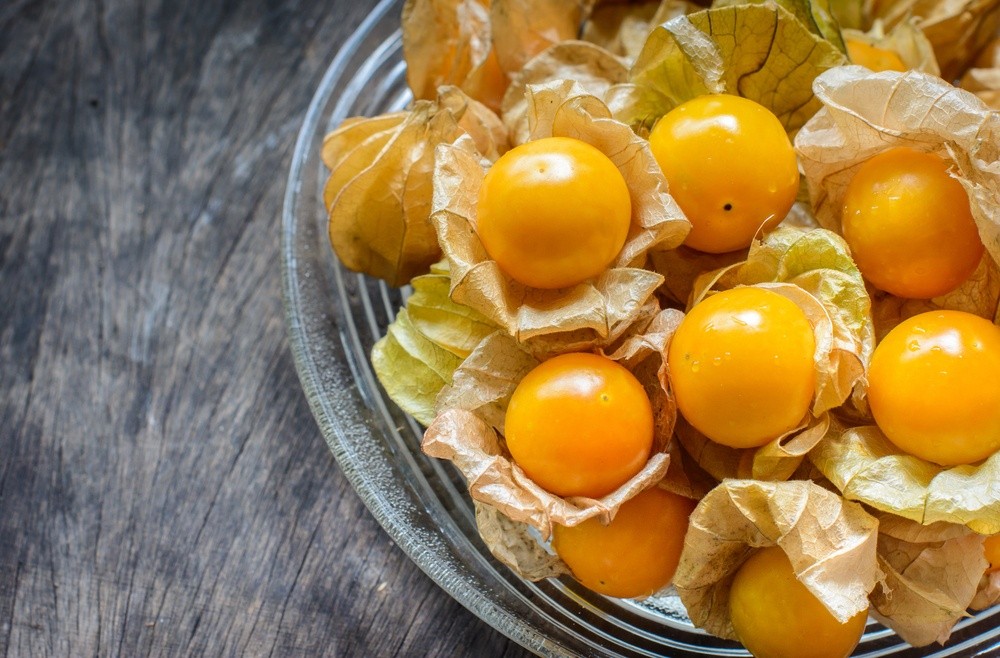 benefícios da physalis