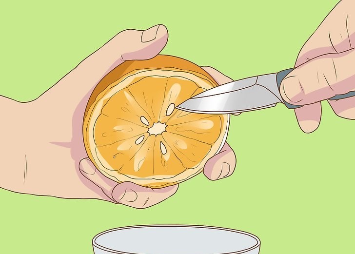 Como Cultivar Laranja