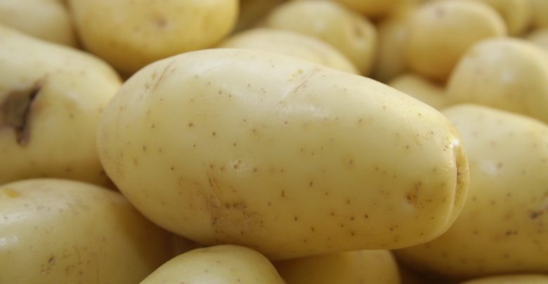 Batatas