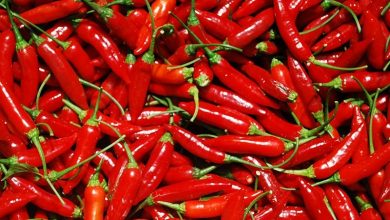 Como Plantar Pimenta Caiena