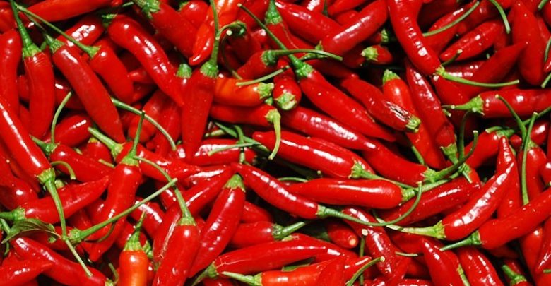 Como Plantar Pimenta Caiena