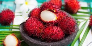 Como Plantar Rambutan