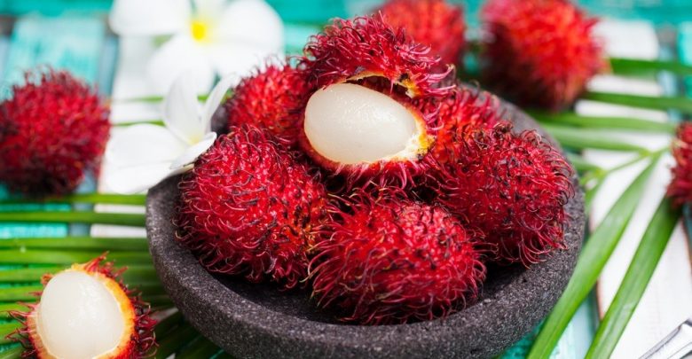 Como Plantar Rambutan