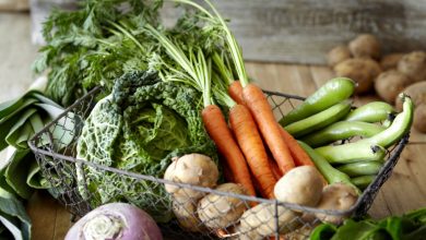 vegetais para ser cultivados em horta