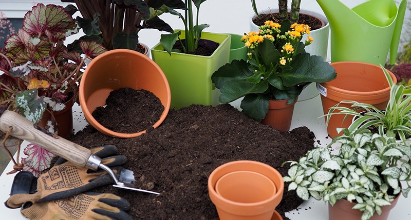 como adubar o solo de plantas e vegetais com potassio