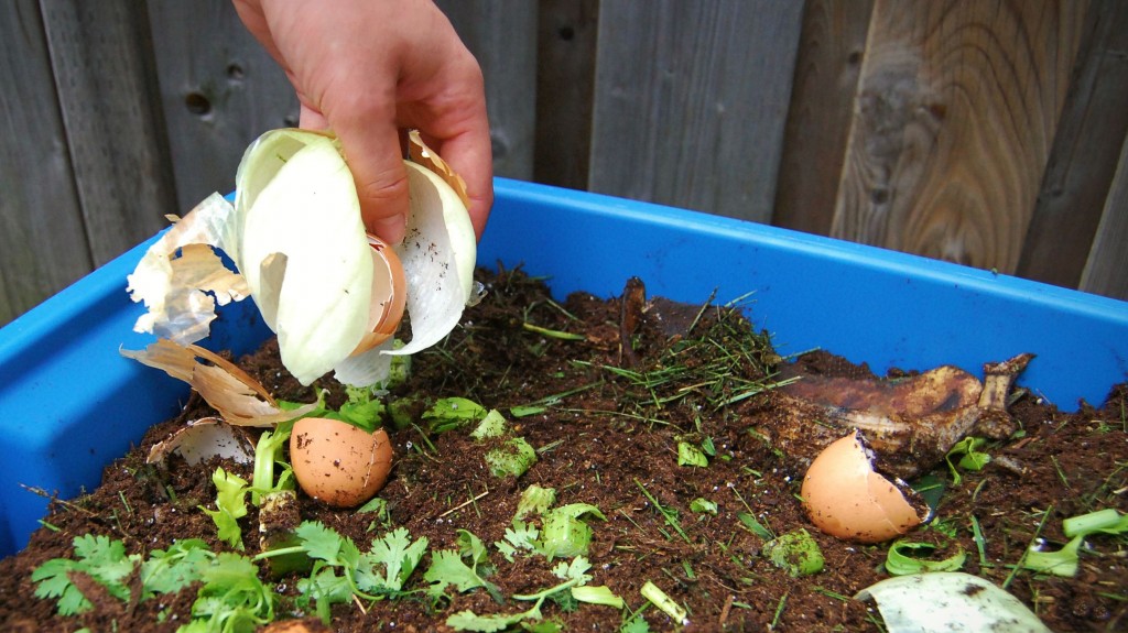 como fazer compostagem em casa