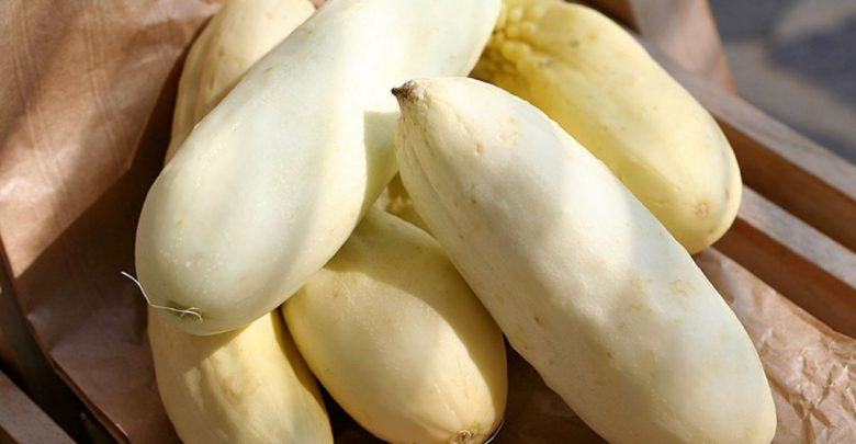 pepino branco